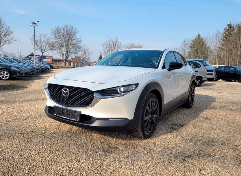 CX-30