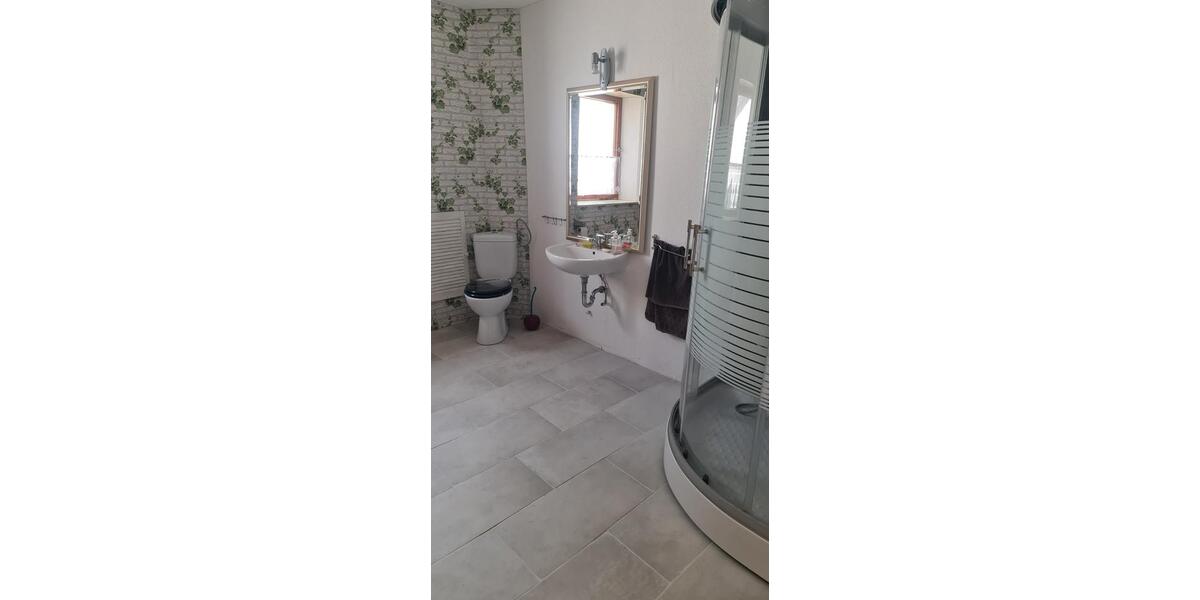 Einfamilienhaus Nesse-Apfelstädt Apfelstädt - 13 Zimmer, 230 m&sup2;, 158.000&euro; | Angebot:27077353