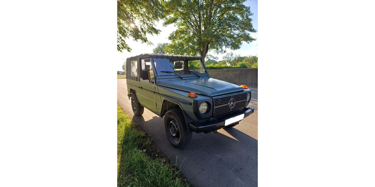 Mercedes-Benz G 250 29.518 km 24.950 &euro; Winterlingen 72474