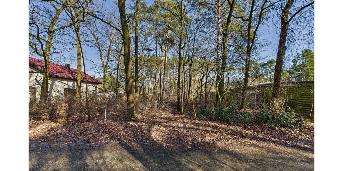 Baugrundstück in kleiner Siedlung - umgeben von Wald und Wiesen - nahe der Spree - Grundstück Grünheide (Mark) | Angebot:25943955