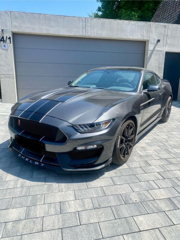 Mustang