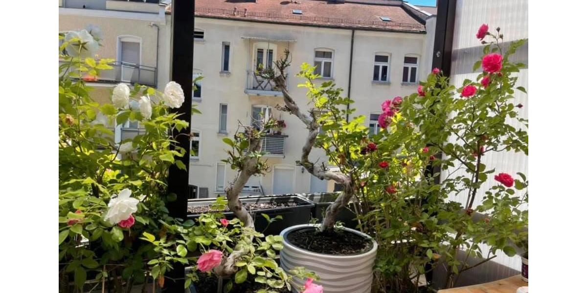 Etagenwohnung Nürnberg Rabus - 5 Zimmer, 130 m&sup2;, 459.000&euro; | Angebot:26992268