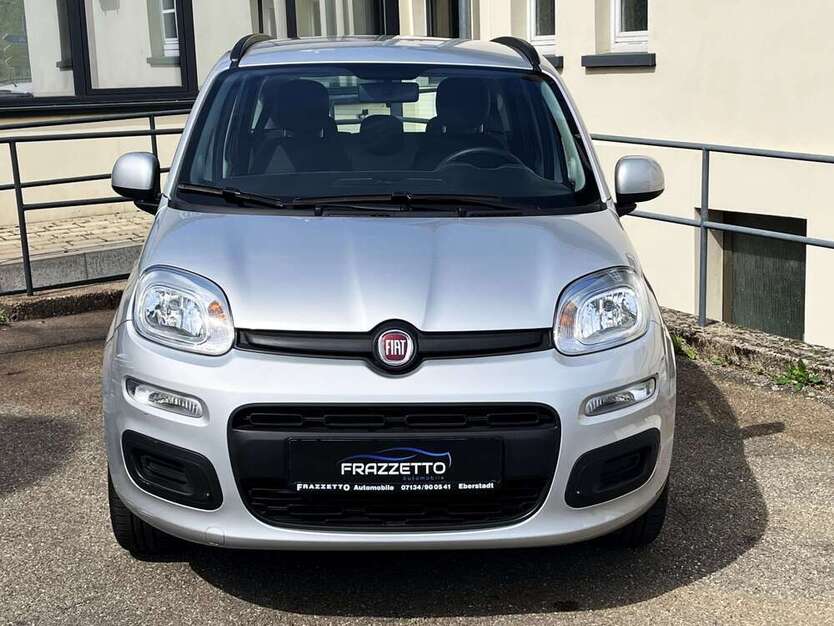 Panda