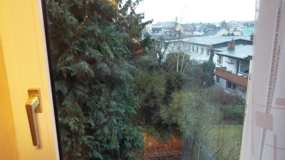 HofSaale 2-Zimmer , Küche , Bad mit eventueller GArtennutzung 2 zimmer