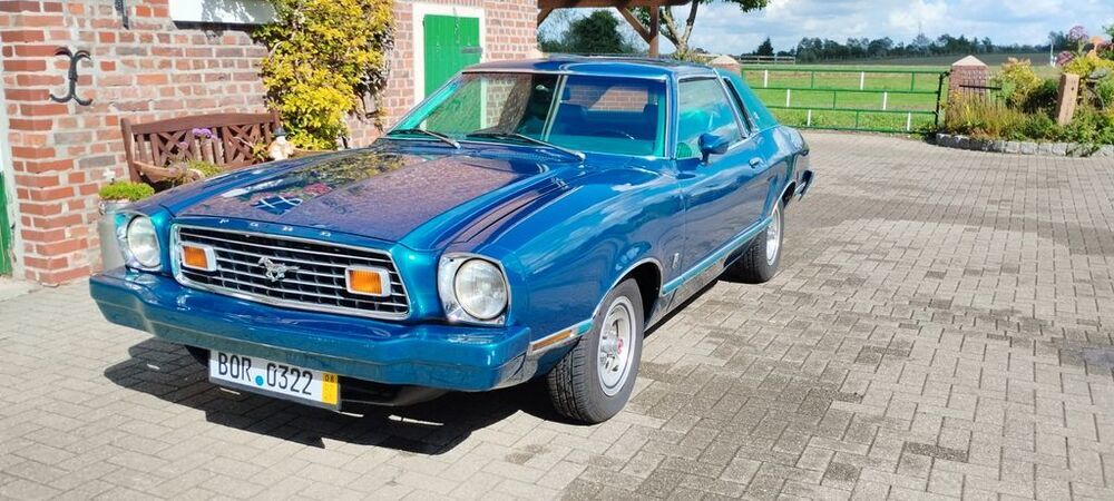 Mustang