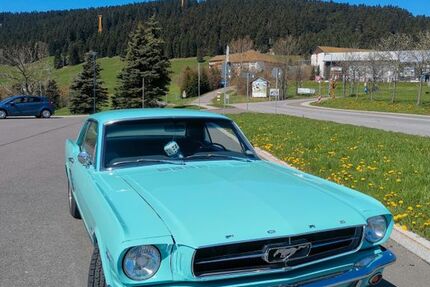 Ford Mustang 99.999 km 32.000 &euro; Schnakenbek 21481