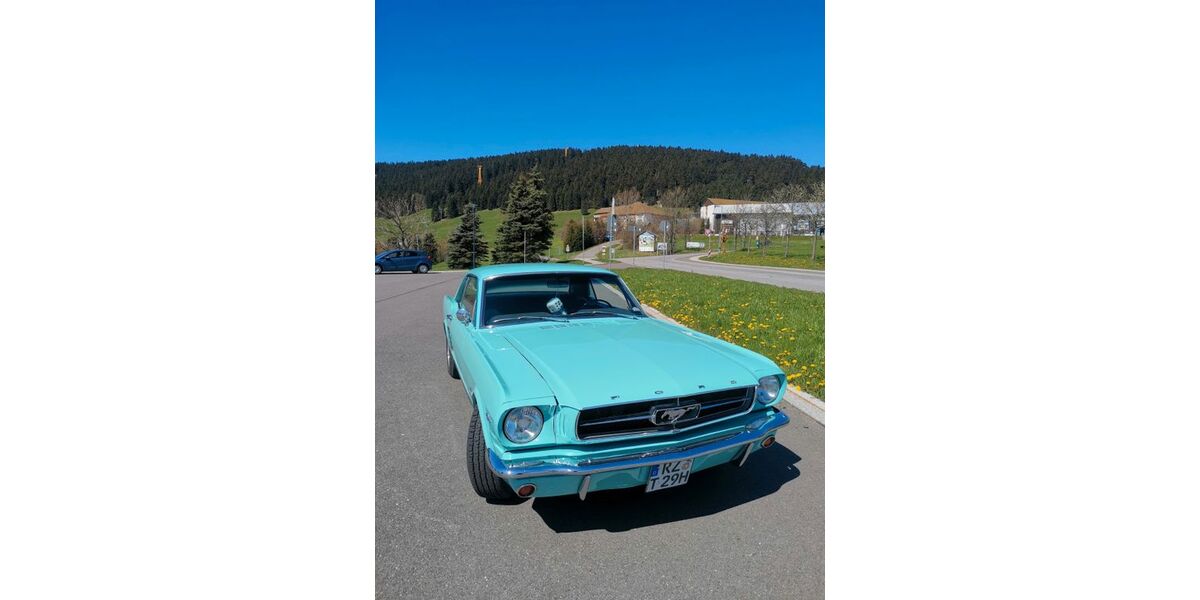 Ford Mustang 99.999 km 32.000 &euro; Schnakenbek 21481