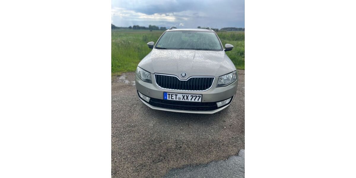 Skoda Octavia 250.000 km 5.500 &euro; Gnoien 17179