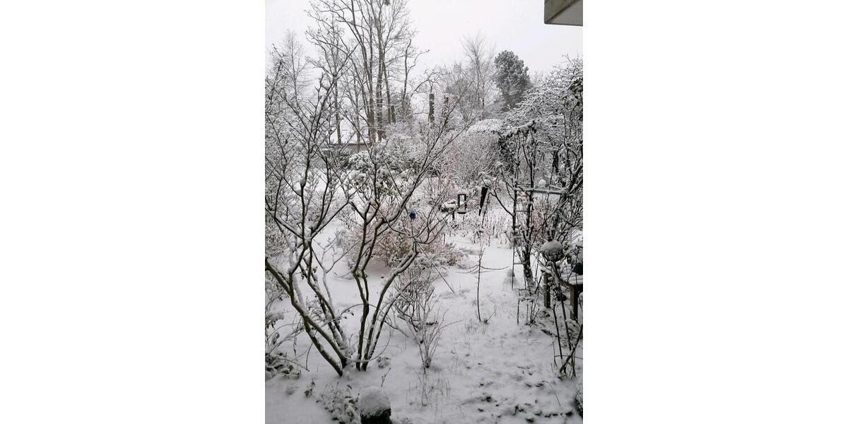 Erdgeschoßwohnung Berlin Charlottenburg-Wilmersdorf - 4 Zimmer, 126 m&sup2;, 1.000.000&euro; | Angebot:25069381