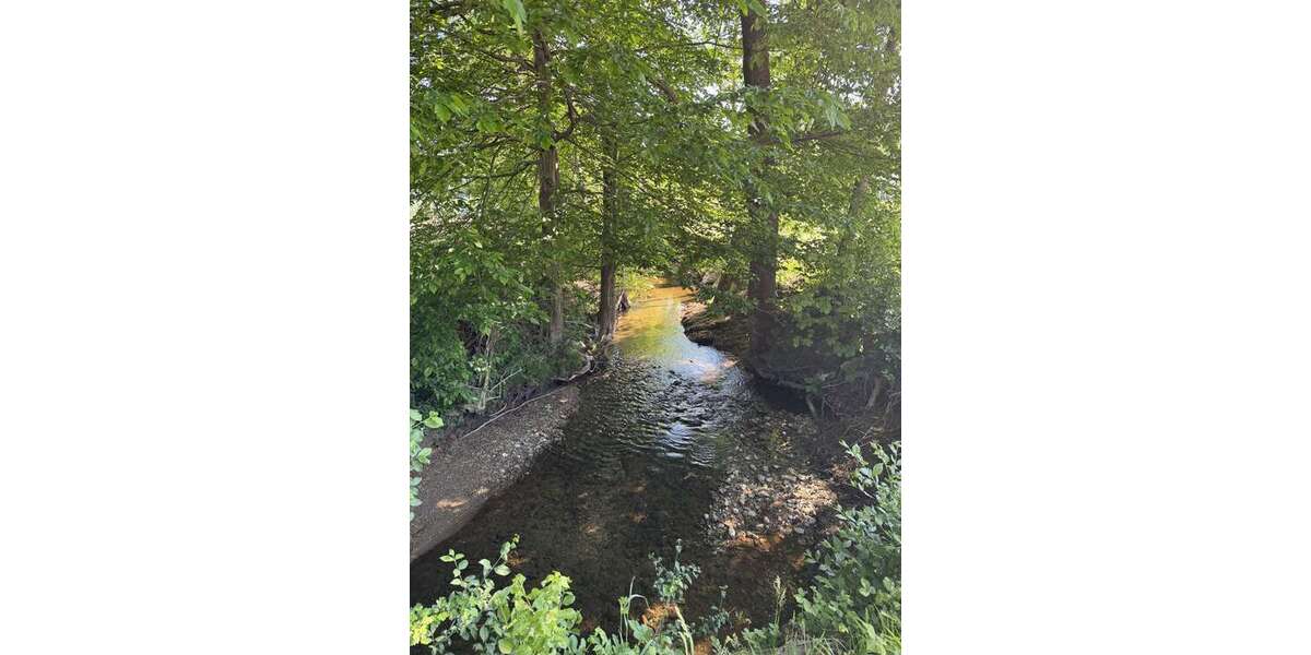 Gewerbeobjekt Sulzbach - 975.000&euro; | Angebot:24951756