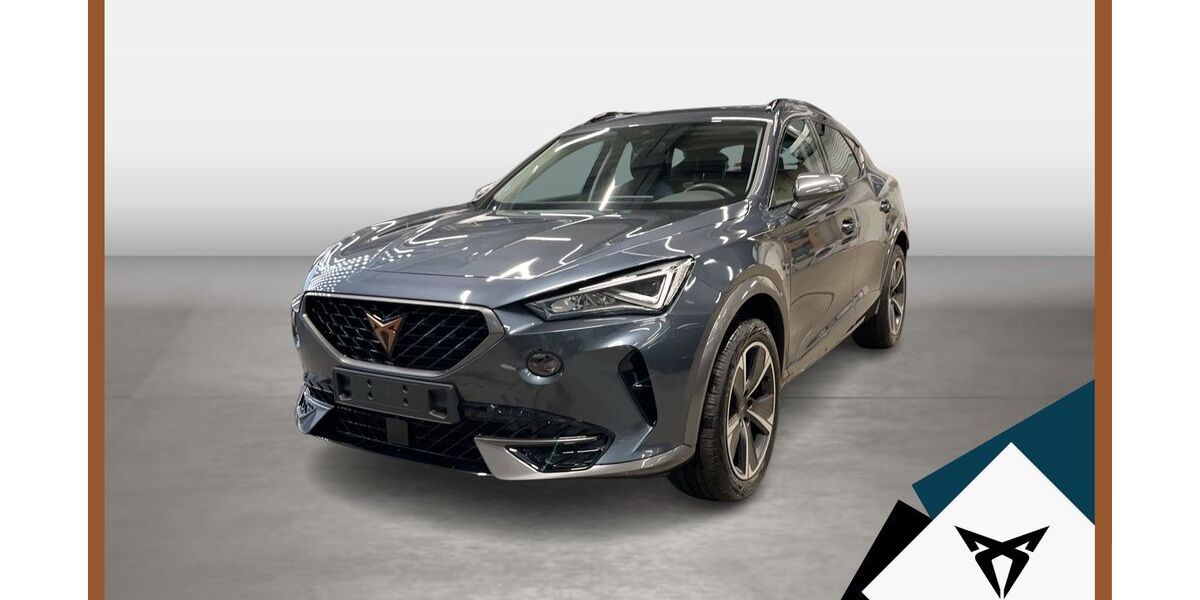 Cupra Formentor 18.383 km 24.220 &euro; Landshut 84030