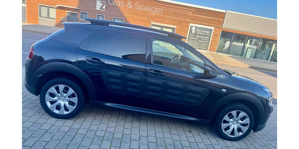 Citroen C4 Cactus 135.000 km 7.990 € Worms 67551