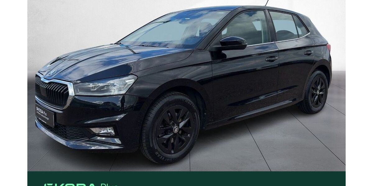 Skoda Fabia 29.489 km 19.980 &euro; Dresden 01169