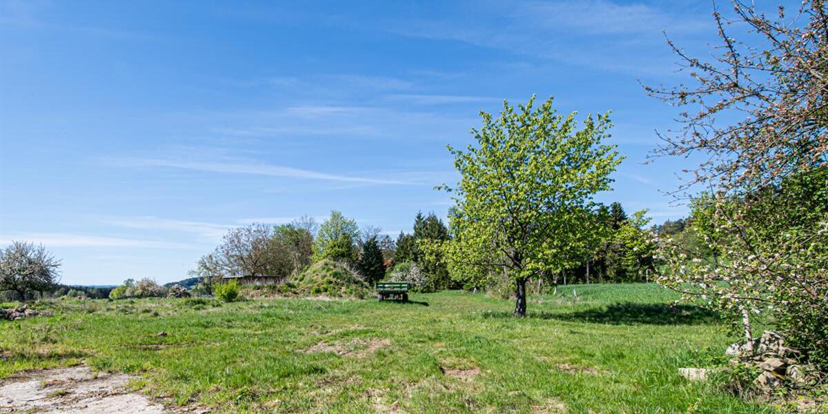 Grundstück mit Potenzial für vielfältige Nutzung in ruhiger Lage - Grundstück Pemfling / Oberdeschenried Oberdeschenried | Angebot:27091096
