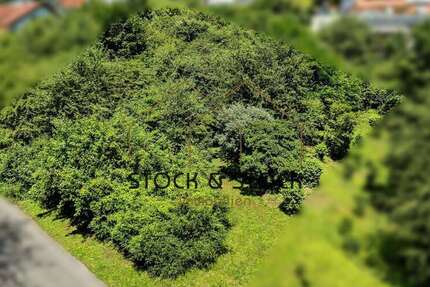 Grundstück zu verkaufen in Mosbach 275.000 € 989 m² zimmer