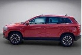 Skoda Karoq 131.560 km 17.000 &euro; Ahrensbök 22623