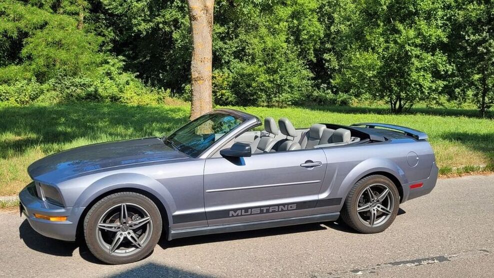 Mustang