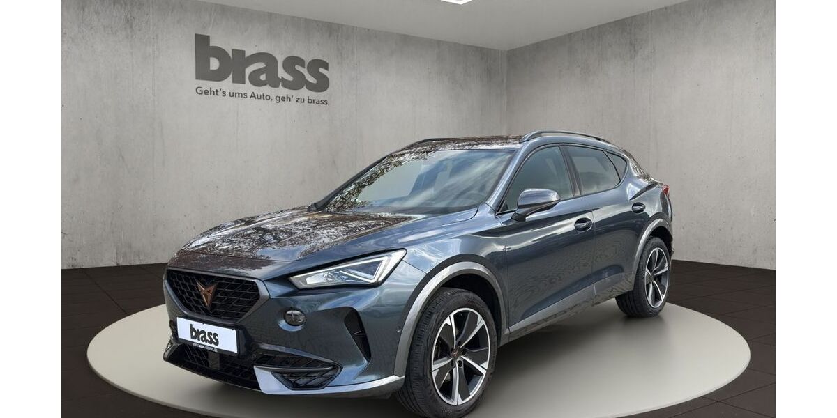 Cupra Formentor 78.800 km 23.980 € Frankfurt 60488