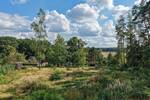 Einfamilienhaus Soderstorf Rolfsen - 8 Zimmer, 274 m&sup2;, 797.000&euro; | Angebot:25665309