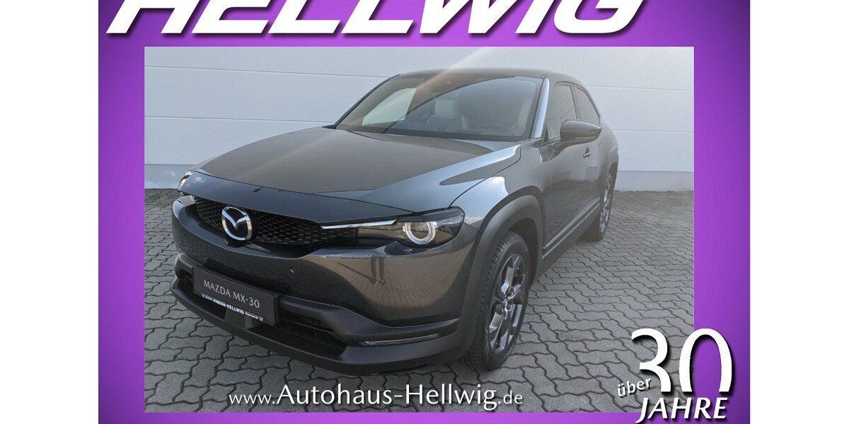 Mazda MX-30 15.190 km 17.480 &euro; Hoyerswerda 02977