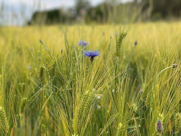 Grundstück Nauen - 167.550&euro; | Angebot:26017721