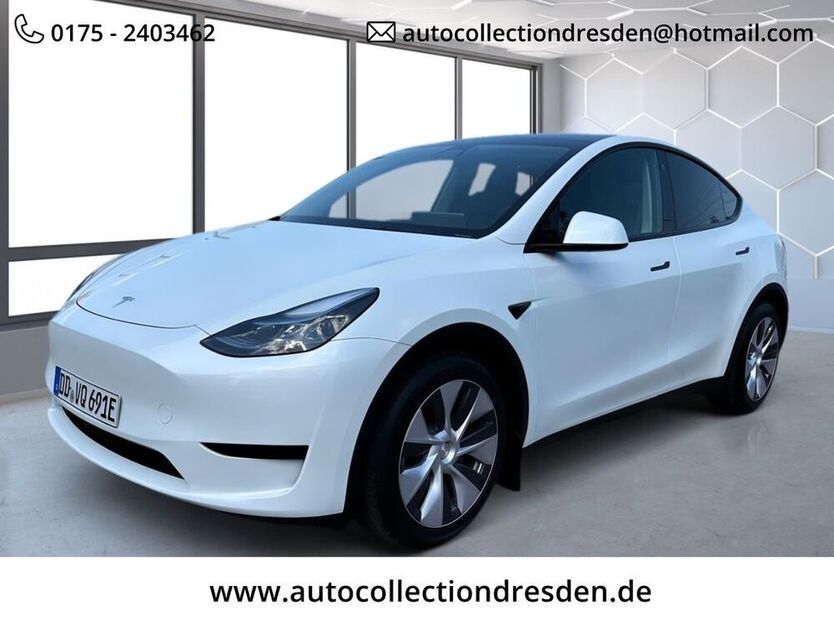Model Y