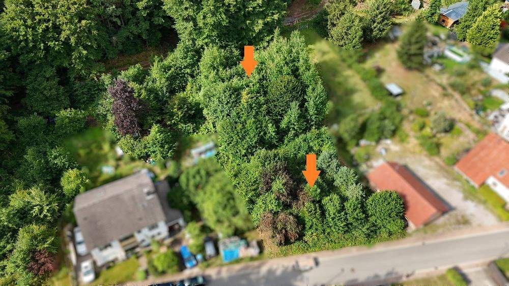 Grundstück Salzwoog Salzwoog - 39.000&euro; | Angebot:23977310