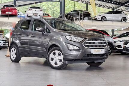 Ford EcoSport 131.100 km 8.950 &euro; Meppen 49716