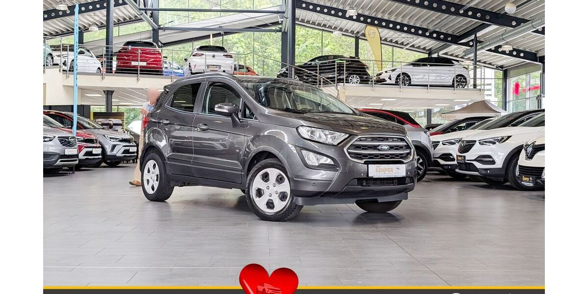 Ford EcoSport 131.100 km 8.950 &euro; Meppen 49716