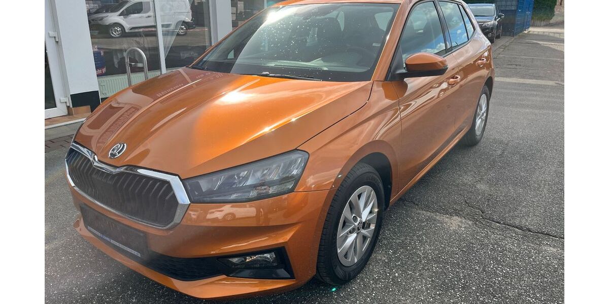 Skoda Fabia 14.930 km 16.490 &euro; Tessin 18195