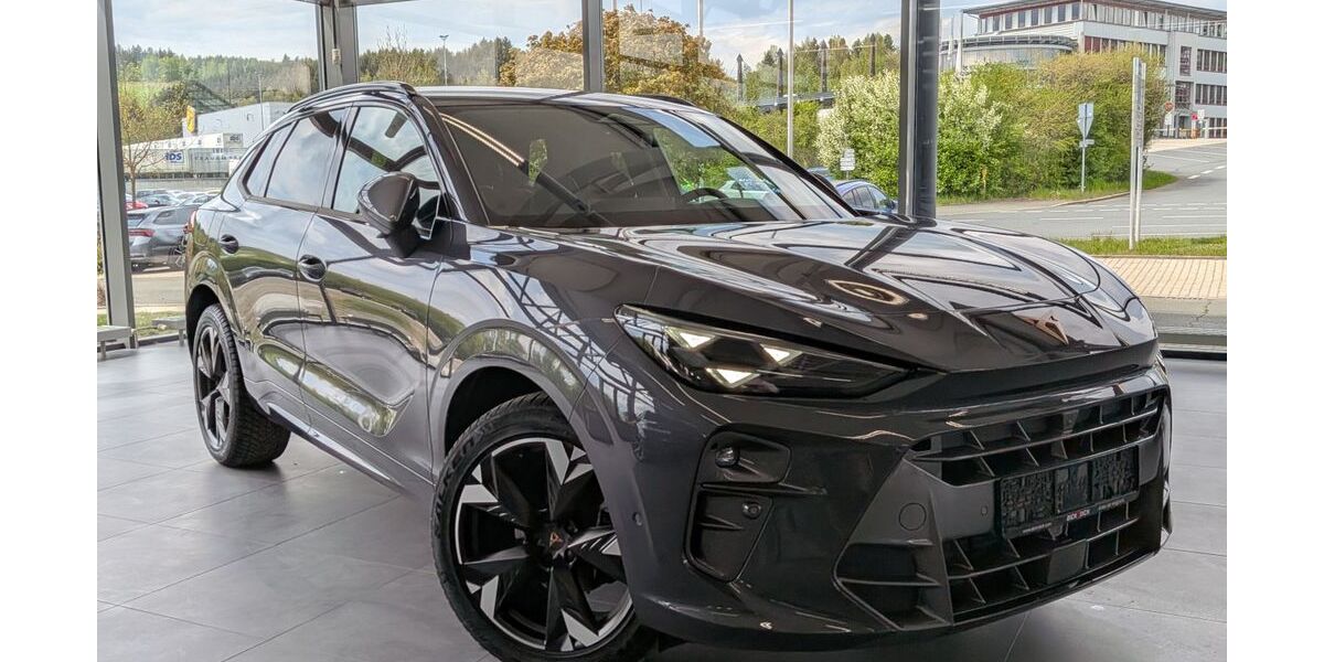 Cupra Terramar 16.697 km 33.950 &euro; Naila 95119