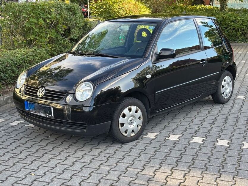 Lupo