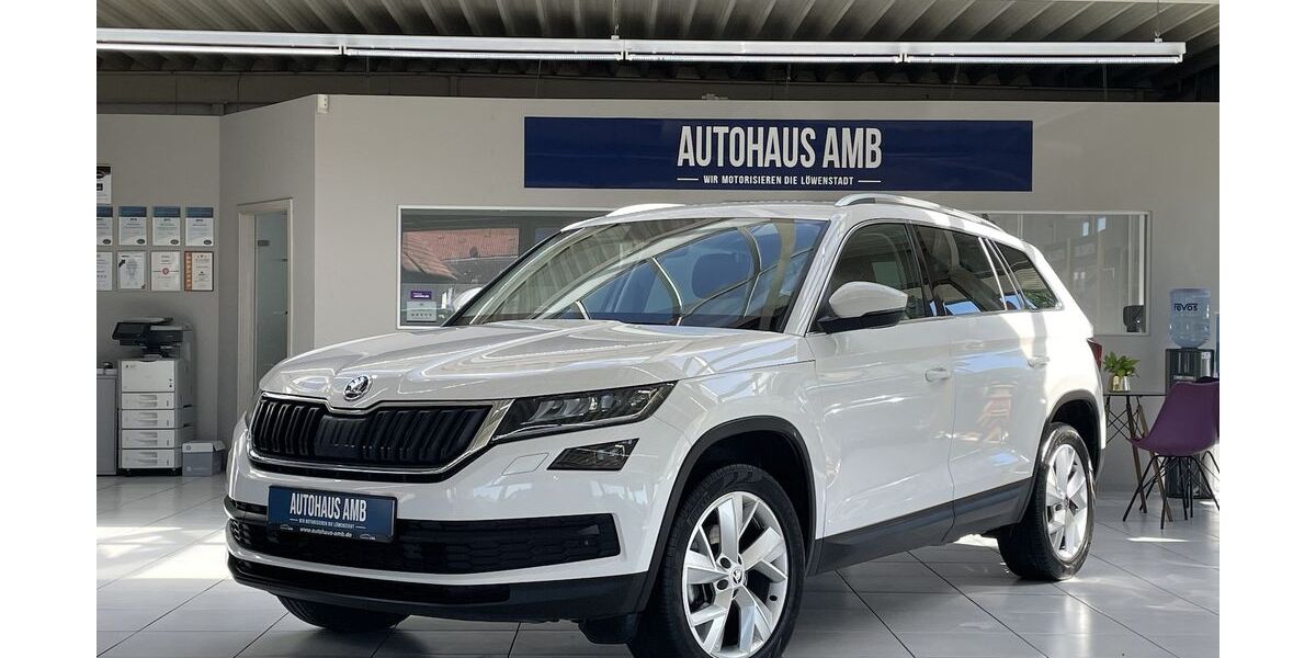 Skoda Kodiaq 96.447 km 22.600 € Braunschweig 38122