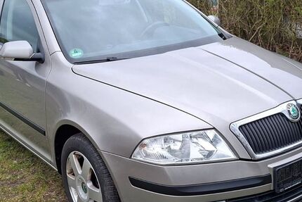Skoda Octavia 232.194 km 2.999 &euro; Hagenow 19230