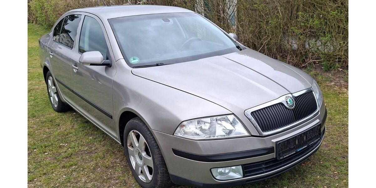 Skoda Octavia 232.194 km 2.999 &euro; Hagenow 19230