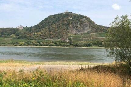 traumhafte Altbauwohnung - 130 qm Haus - Rheinblick & Dachterasse 5 zimmer