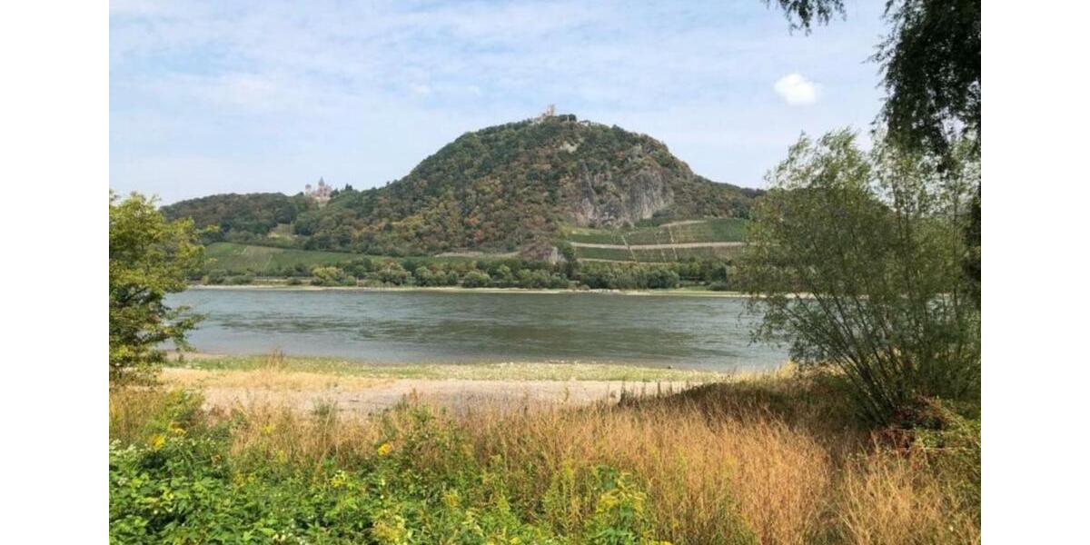 traumhafte Altbauwohnung - 130 qm Haus - Rheinblick & Dachterasse 5 zimmer