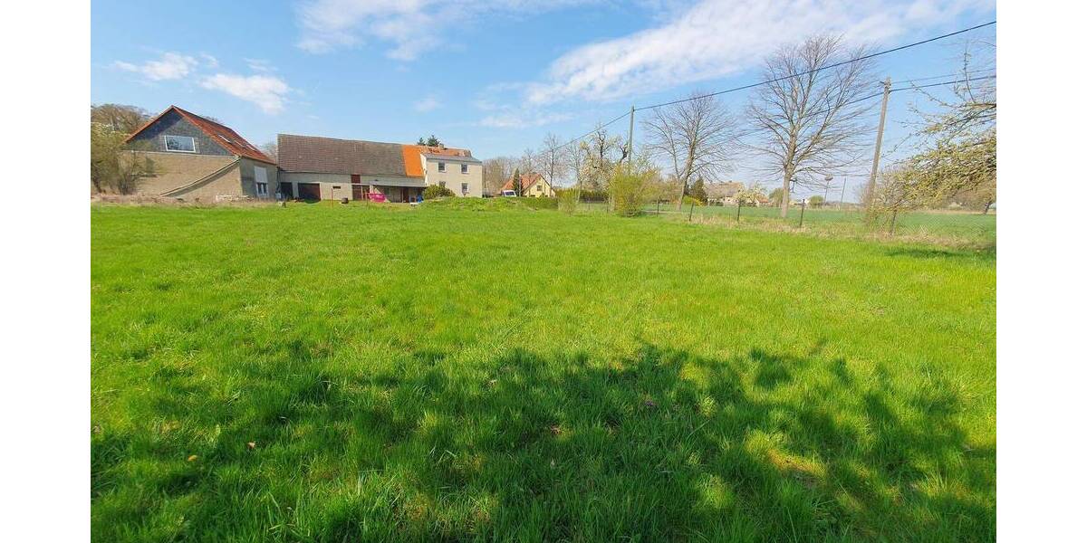 Einfamilienhaus Belgern-Schildau Schildau - 5 Zimmer, 110 m&sup2;, 70.000&euro; | Angebot:26318978