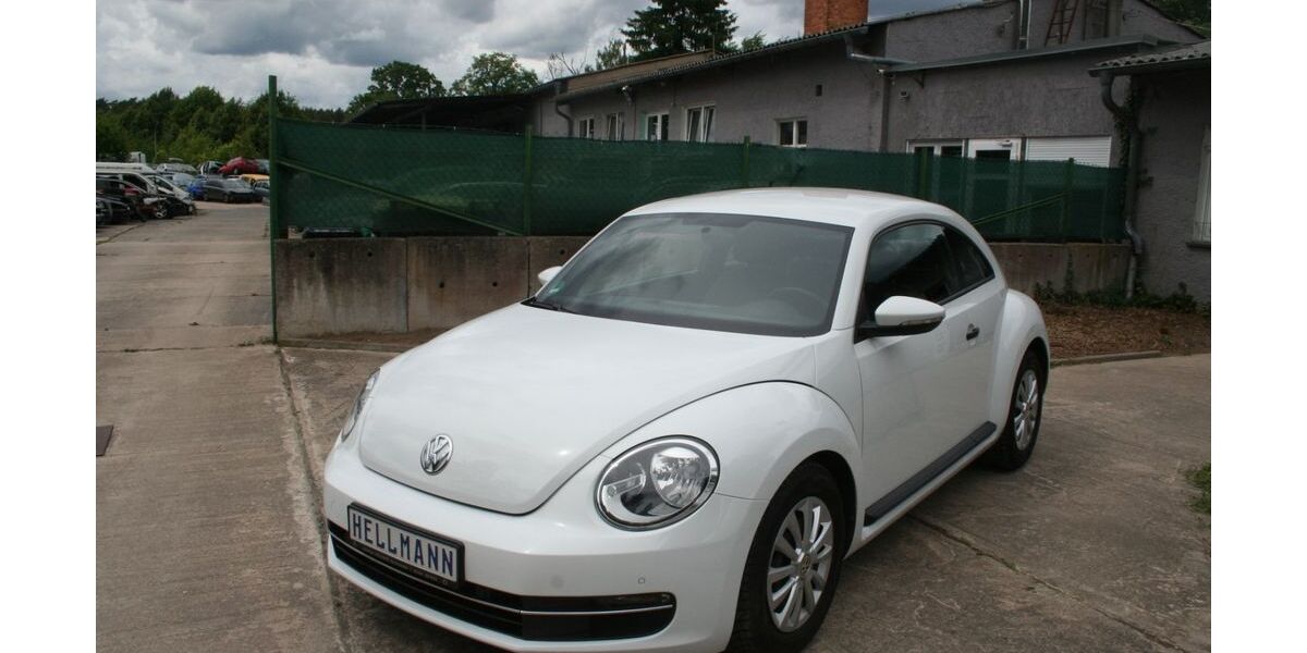 VW Beetle 55.000 km 10.999 &euro; Rietz Neuendorf OT Alt Golm 15848