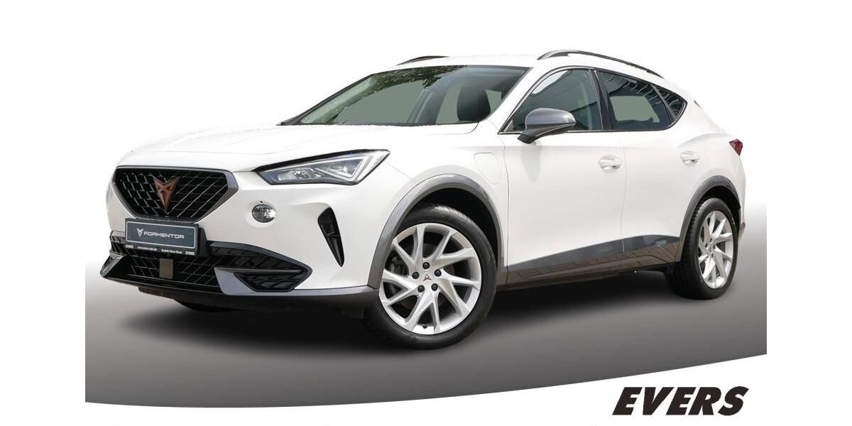 Cupra Formentor 74.166 km 22.980 &euro; Bocholt 46395