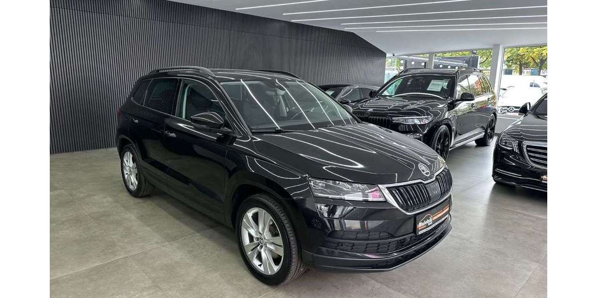 Skoda Karoq 193.160 km 15.950 &euro; Brandenburg an der Havel 14772