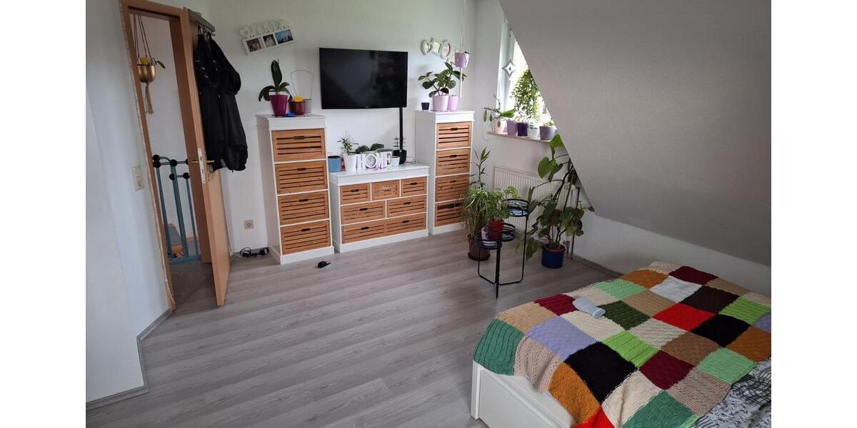 Einfamilienhaus Hankensbüttel - 5 Zimmer, 230 m&sup2;, 399.999&euro; | Angebot:26552398