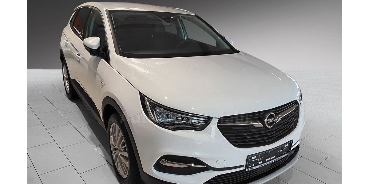 Opel Grandland (X) 23.000 km 18.800 &euro; Lengerich 49525