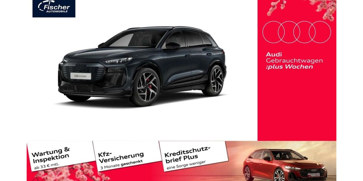 Audi SQ6 e-tron 11.539 km 80.980 &euro; Neumarkt 92318