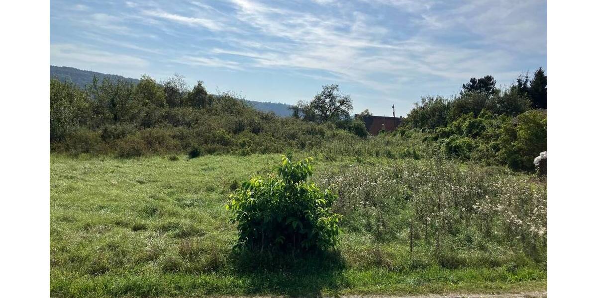 Grundstück Berching Ernersdorf - 339.500&euro; | Angebot:25671815