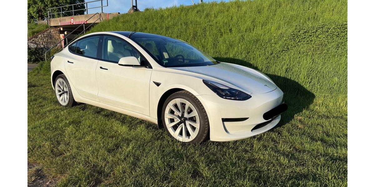 Tesla Model 3 141.000 km 25.800 &euro; Frankfurt 60437