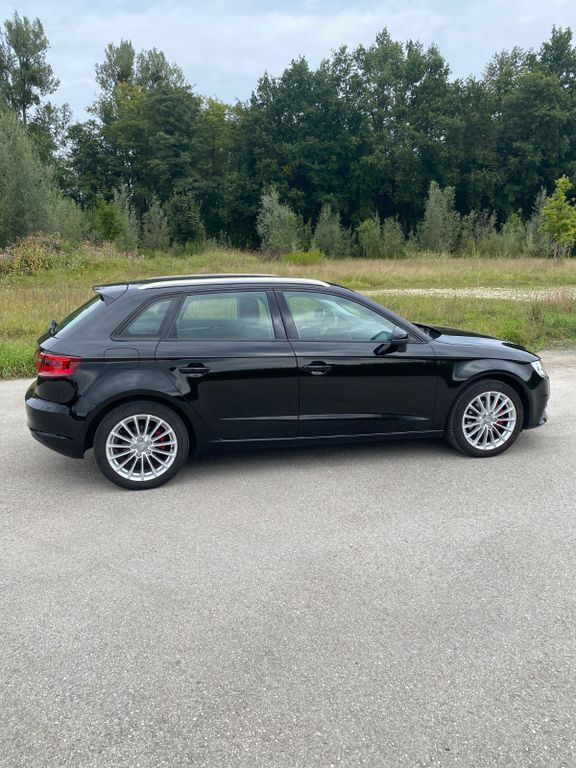 A3
