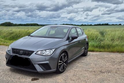 Seat Ibiza 88.300 km 10.500 &euro; Cavertitz 04758