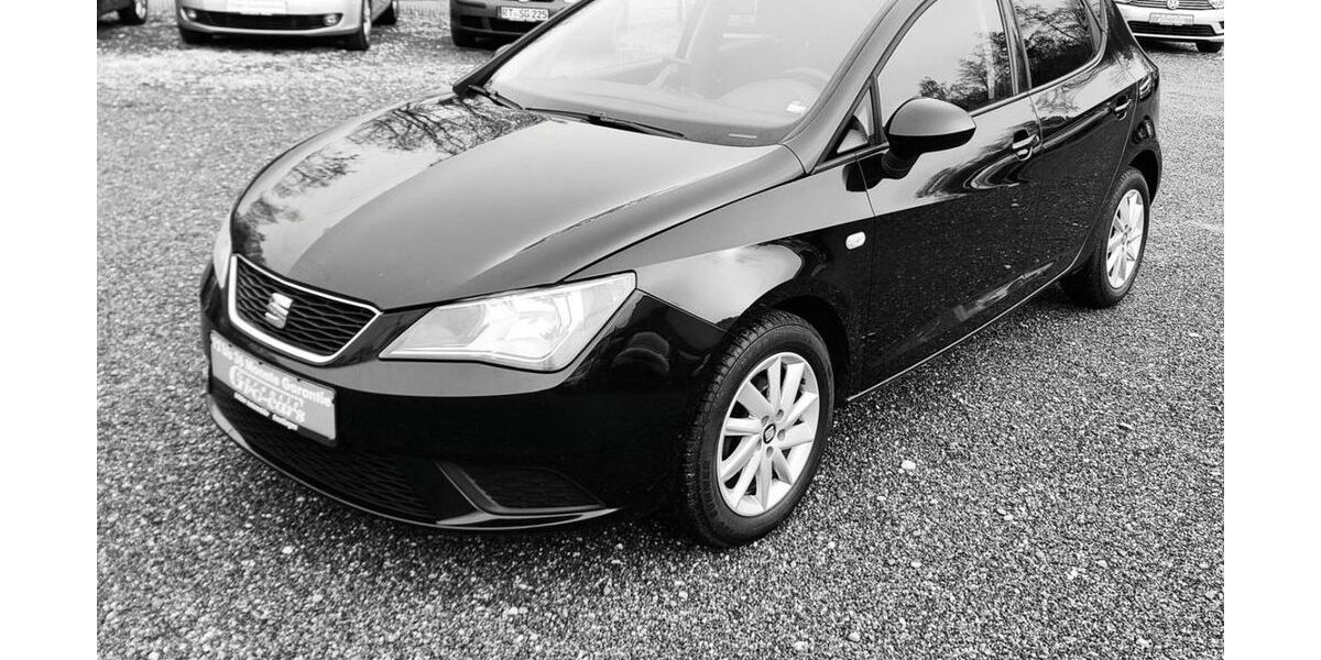 Seat Ibiza 150.000 km 5.699 &euro; Reutlingen 72766