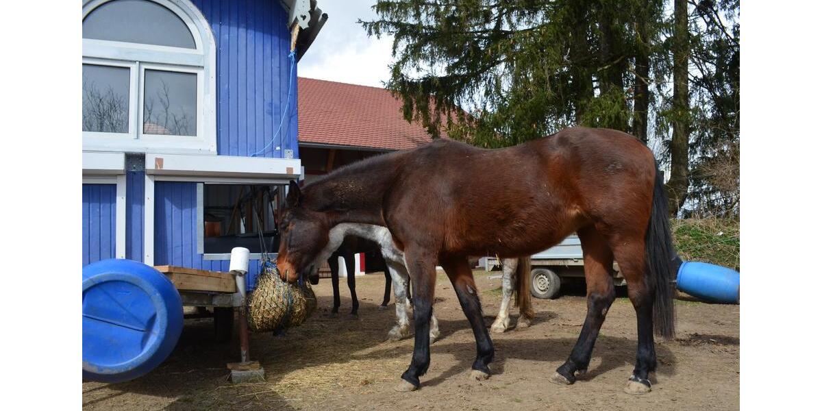 Einfamilienhaus Leutkirch im Allgäu - 1.100.000&euro; | Angebot:26569915